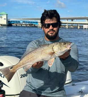 Stuart FL Nearshore Fishing For Redfish
