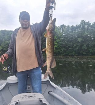 Reel in the action on Michigan rivers!