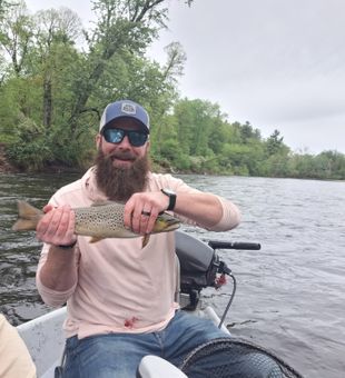 Solid Brown Trout Catch