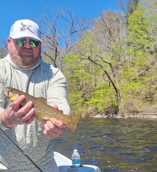 Quality Brown Trout Fishing Trip