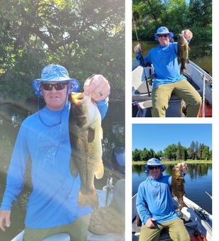 Smallmouth bass action heating up in Alma MI!