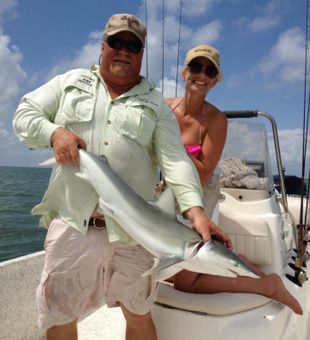 Man with sleek shark on sunny fishing boat.