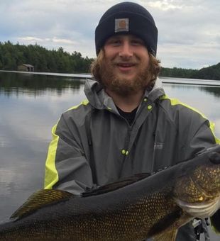 Walleye Fish From Wisconsin