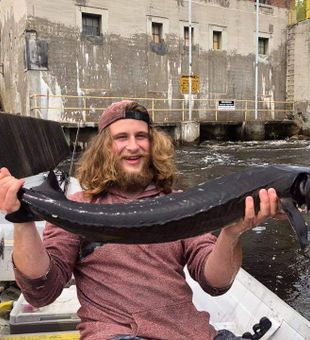 Sturgeon Fish From Wisconsin