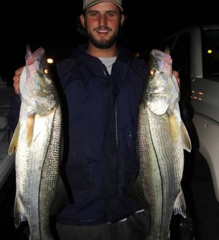 Explore Indian River fishing charters, Snook fish!