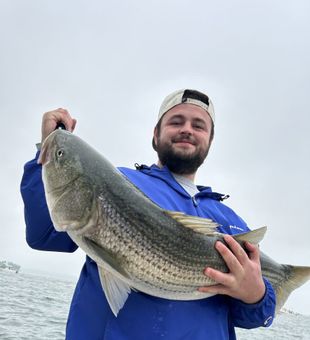 Exciting striped bass catch on the fishing charter 