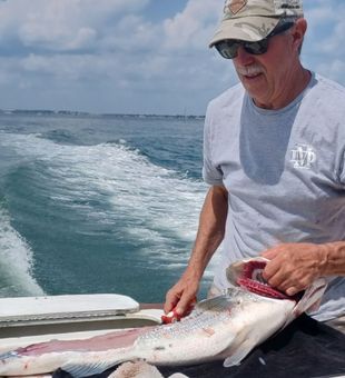 Impressive striped bass catch on a guided fishing charter