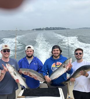 Exciting striped bass haul with friends on a fishing charter 🎣
