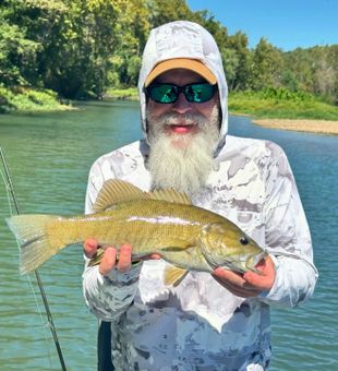 Smallmouth bass thrive in Arkansas streams