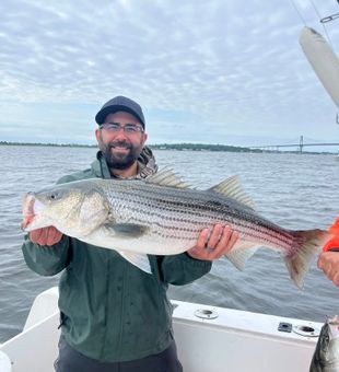Strong Cape Cod Striped Bass catch for this angler.