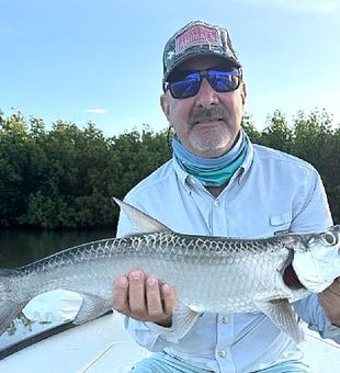 Shallow water Tarpon on fly