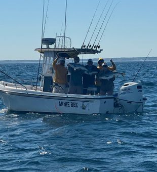 Big fish success aboard Annie Bee in Barnstable!