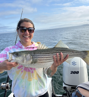 Huge Striped Bass reeled in from the depths of Barnstable Harbor!
