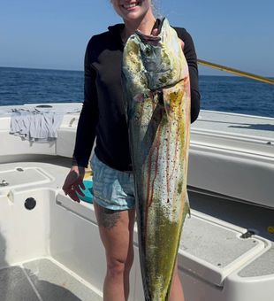 Jacksonville waters delivering another solid catch