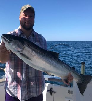 Large Salmon Caught in Lake Michigan