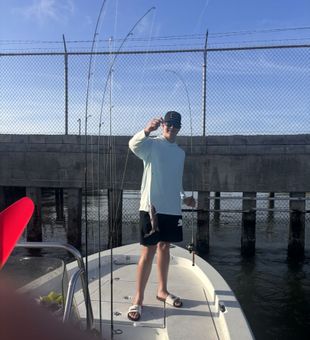 Cast your line and chase adventure.