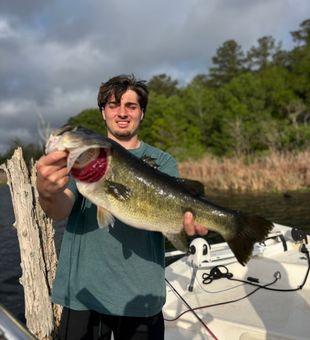 Nice bass from the waters of Interlachen FL!