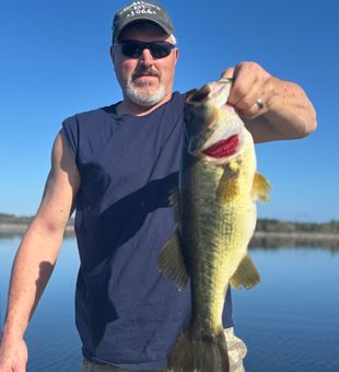 Nice bass catch in Interlachen Florida waters!