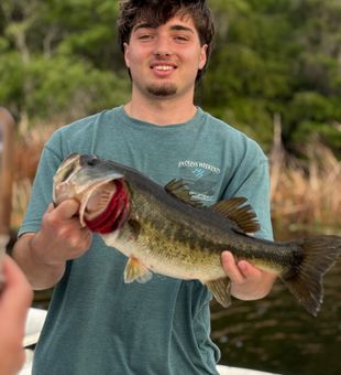 Nice bass catch in Interlachen Florida waters!