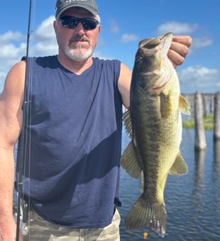 Nice bass catch in Interlachen Florida!