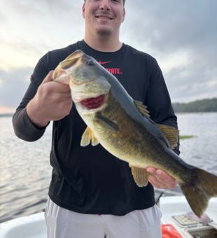 Nice bass pulled from Interlachen FL waters!