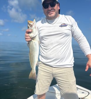 Beautiful speckled trout from Interlachen Florida waters!