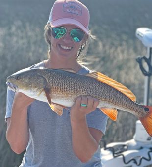 Sun, Sea, and Florida Fishing Delights, Red Fish