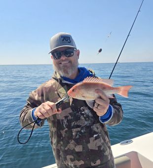 Cute Red Snapper at Alabama Fishing Charters