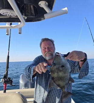 Grey Triggerfish Bounty at Alabama Fishing Charter