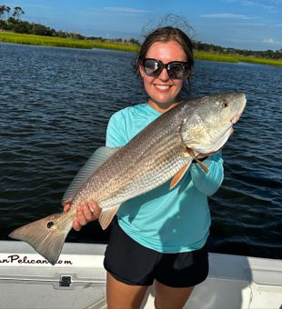 Redfish Trophy in Fishing Charters Oak Island!