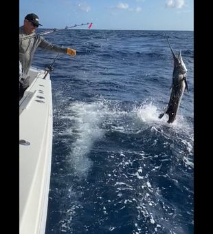 Sailfish putting on a show off Boynton Beach! 