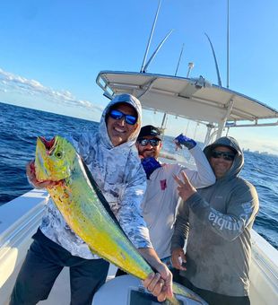 Colorful Mahi Mahi catch off Boynton Beach!