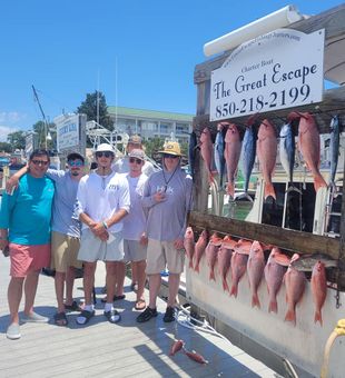 Friends, family, and fish – the perfect recipe