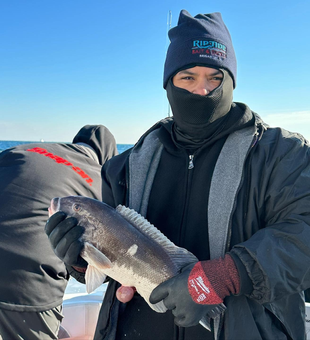 Hooked on Jersey's finest catches.