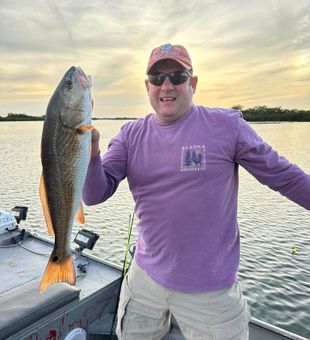 Redfish in the afternoon