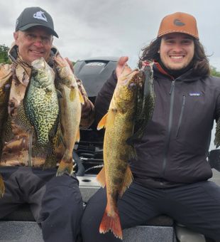Mixed Bag Walleye and Crappie Catch