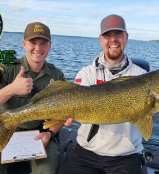 Minnesota Record Walleye Catch