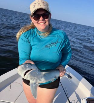 Atlantic sharpnose shark catch in Steinhatchee Florida!