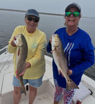 Quality redfish catch