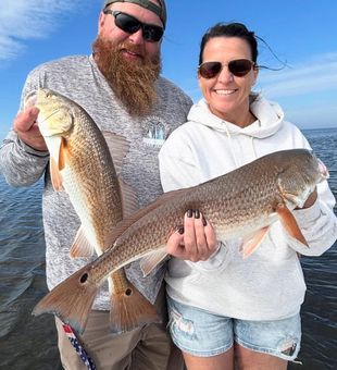 Solid redfish catch