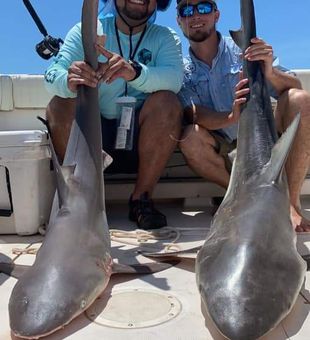 Galveston fishing: Your next adventure!