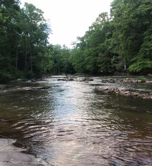 Virginia Fishing with the best fishing guide
