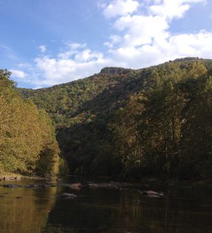 In Virginia We Wade! Check my trips!