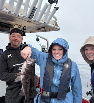 Nice Black Rockfish from the boat today!