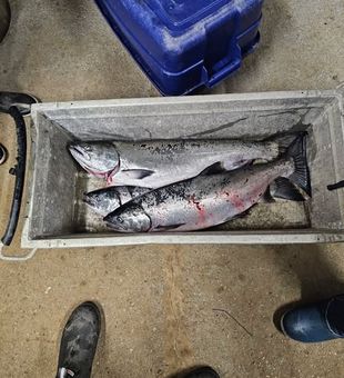 Oregon’s fishing scene delivers