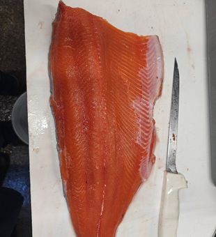 Nothing beats a salmon launch day