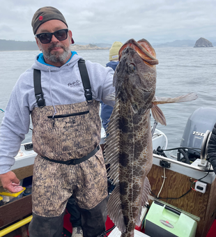 Massive Oregon Coast lingcod from a successful trolling trip!