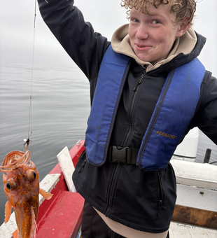 Nice vermilion rockfish from the Pacific City waters! That orange color really pops.