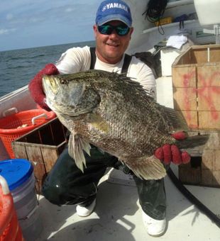 Large Atlantic Triple Tail! - Saint James City, FL.