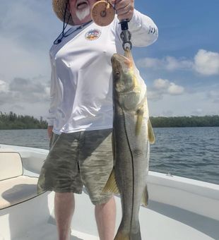 Massive Snook landed in Florida’s backwaters!